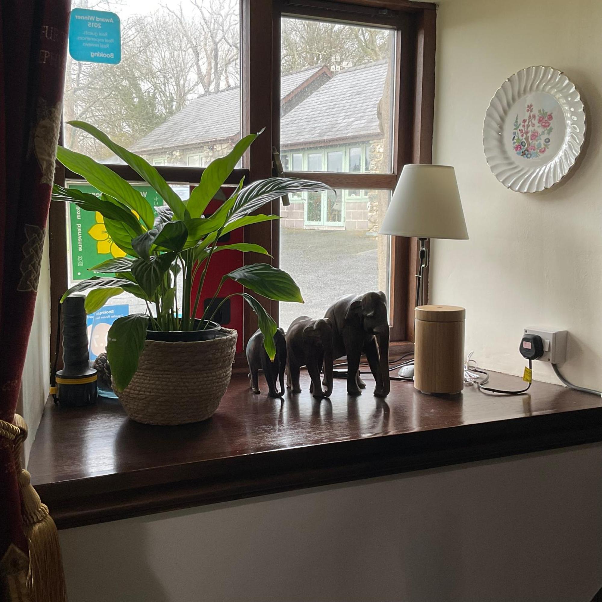 The Old Farmhouse B&B 다이프린 외부 사진